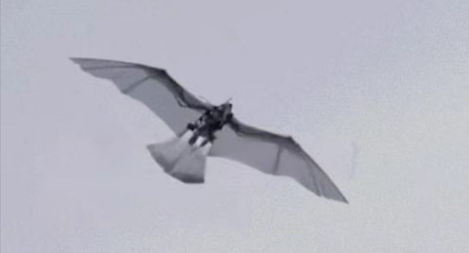 Academic Image 2