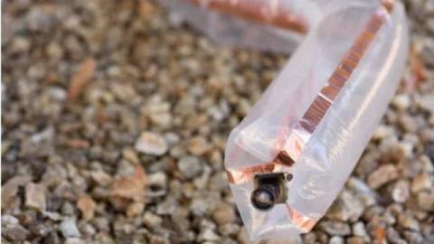 软体机器人特辑