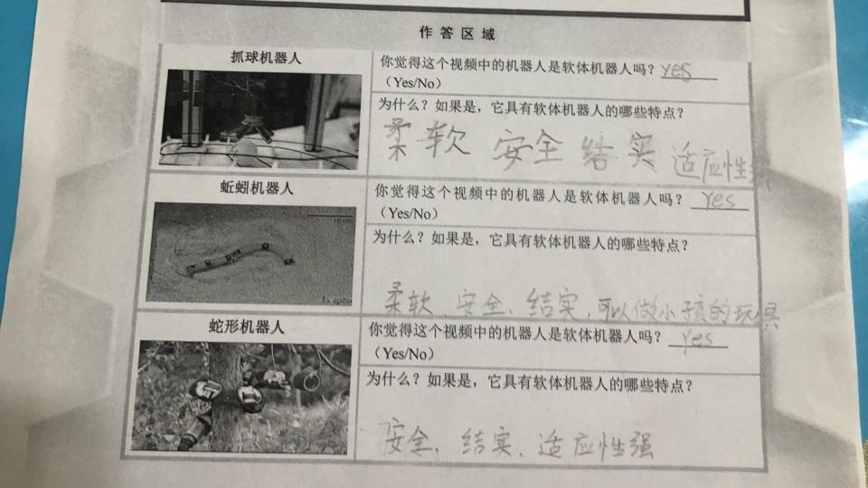 呼雨珊作业