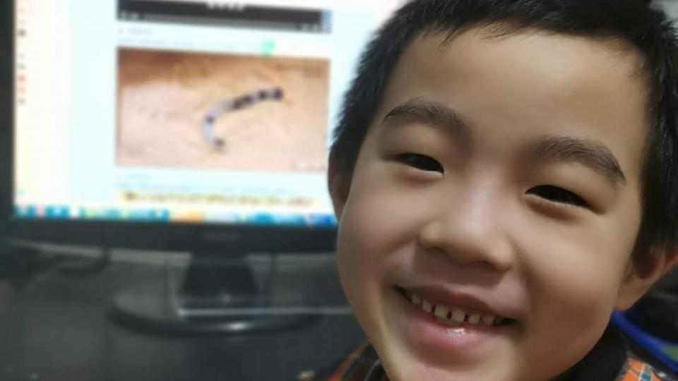 杨天跃作业