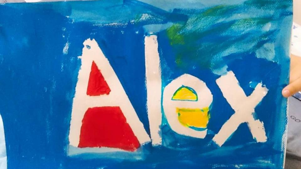 Alex卡卡作业