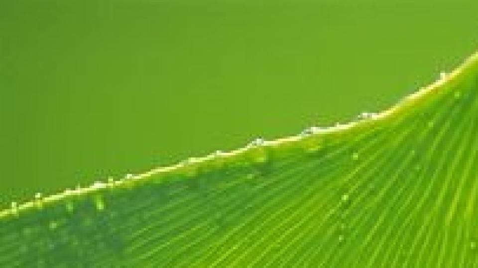 作业答题