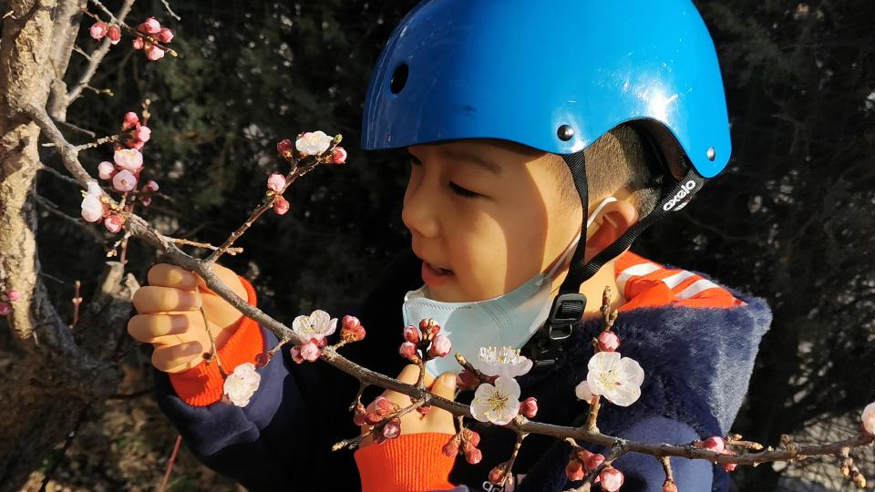有人操纵的机器人