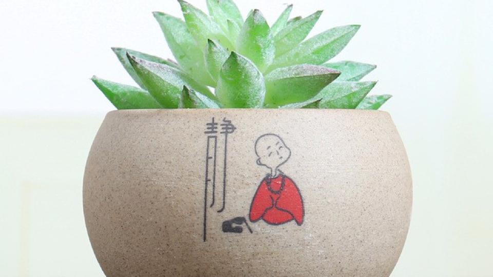 任务