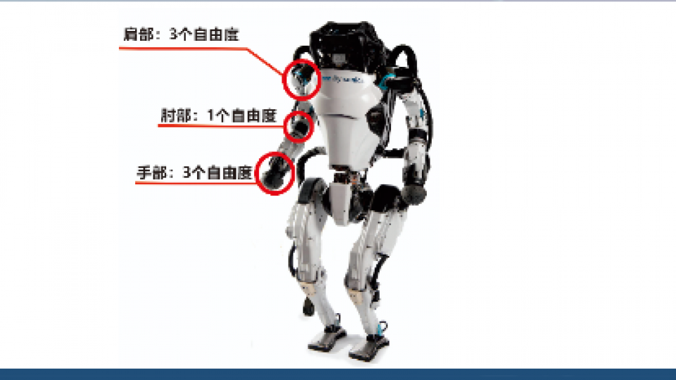 自由度
