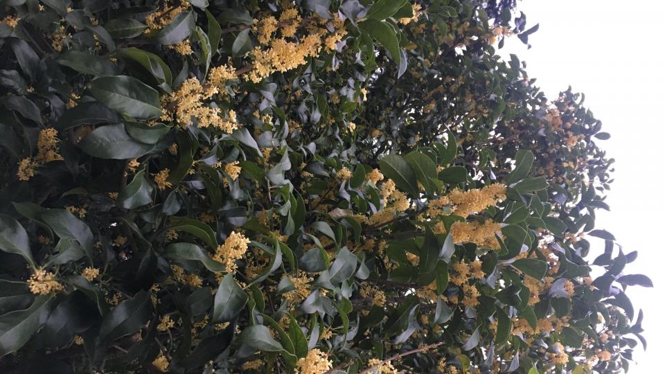 送药模拟