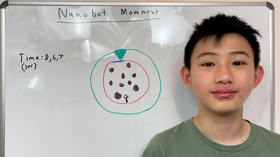 Nanobot Movement
