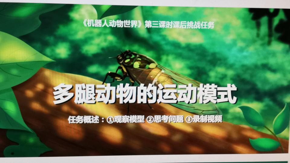六足和八足的爬行方式