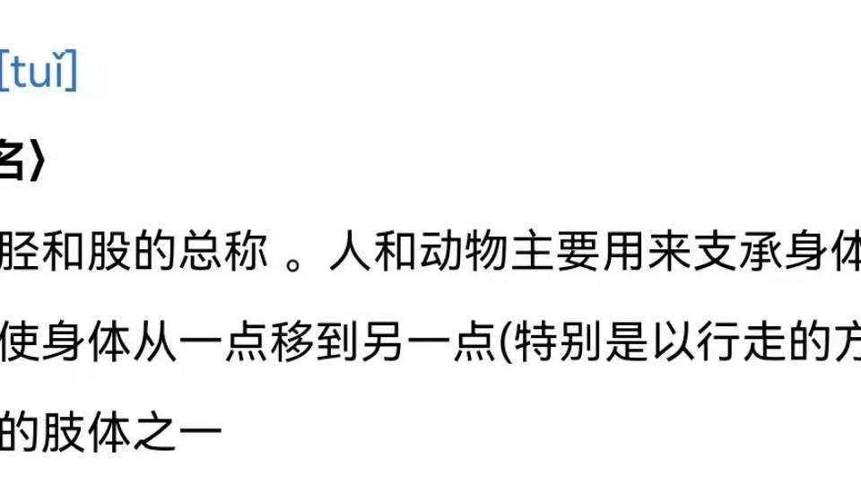 腿的意义:支撑躯体和支持行走