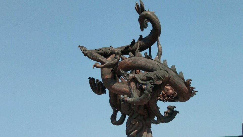 动物的腿