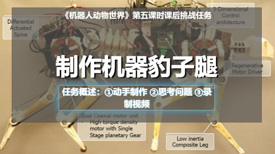 Jaedon第五次课后挑战