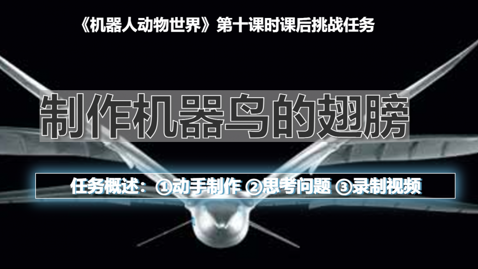 杨修齐-制作机器鸟的翅膀挑战