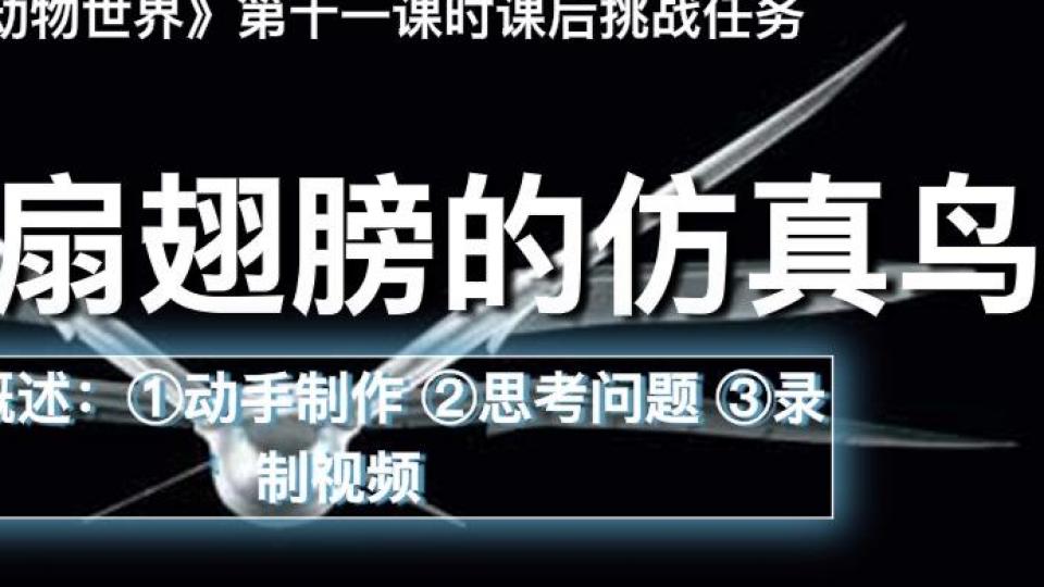 制作会扇翅膀的仿生鸟