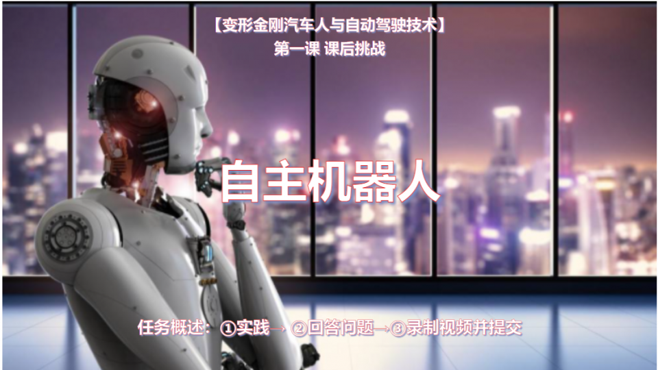 杨修齐里兰课后挑战-自主机器人
