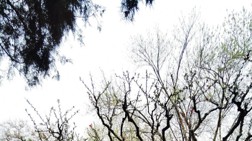 不同路况下保持车道的难易程度