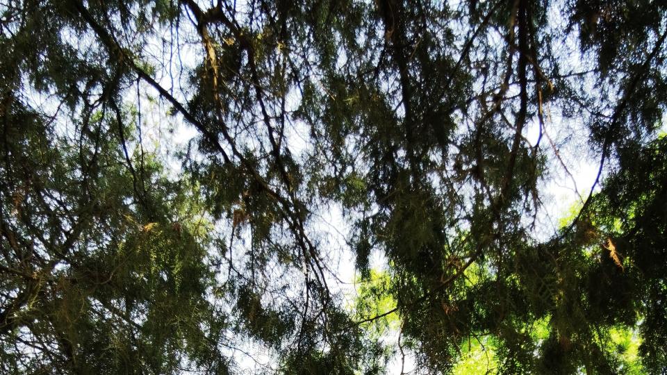 根据自己需求选择合适的自动驾驶汽车