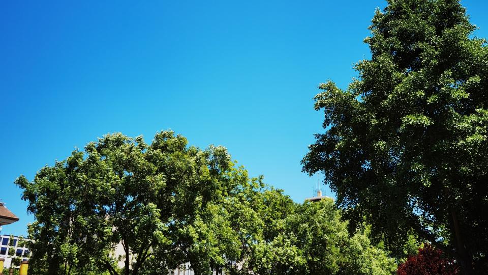 为团队选择获胜的车辆。