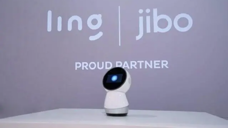 AI表情识别 与 人工表情识别