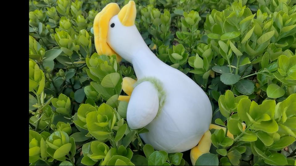 樊禹巽第三次作业