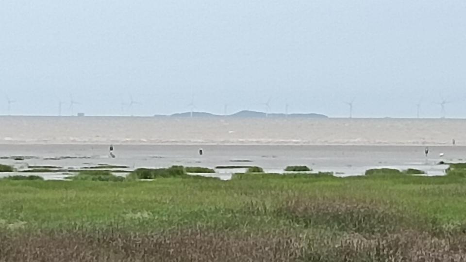 王美懿第十一课课后挑战作业