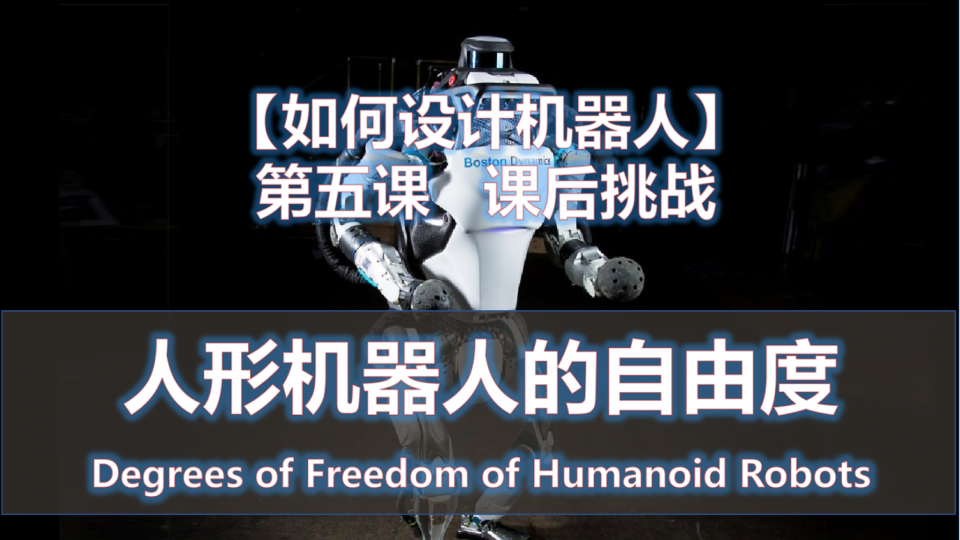 人形机器人的自由度