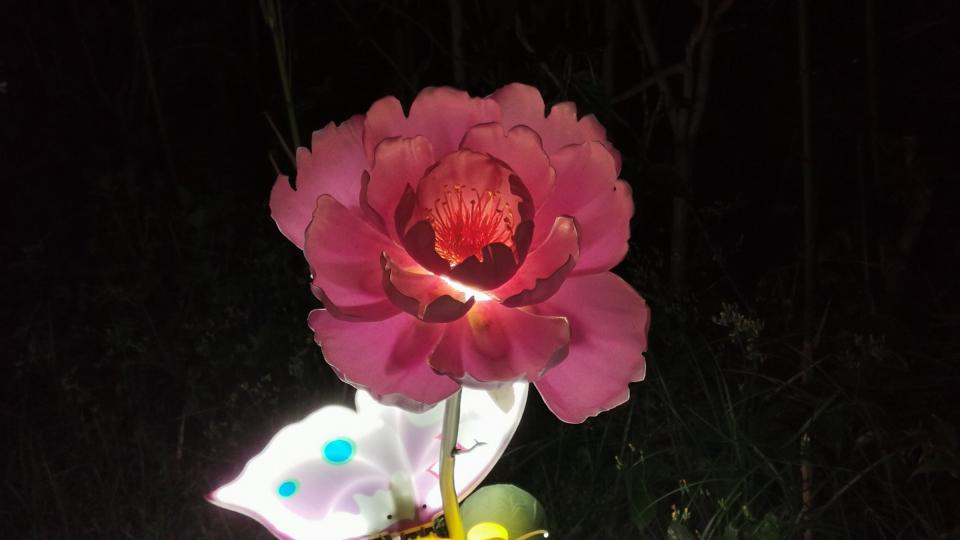 挑战任务7