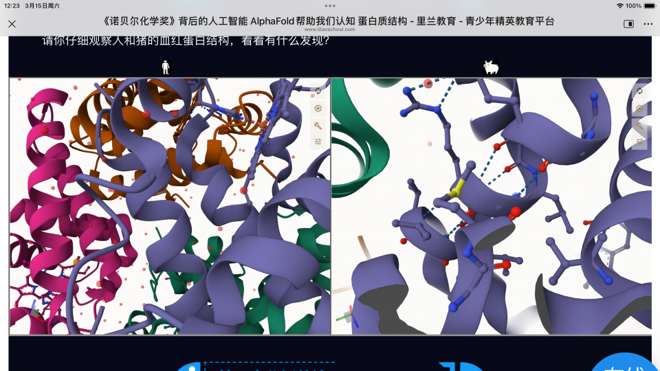 蛋白质三维结构