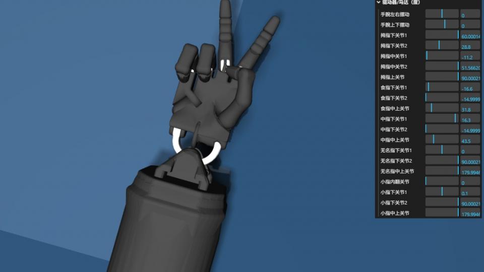 人的手,比你想象的还复杂!