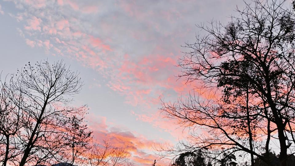 自动驾驶等级,不是全部 - 你所不知的ODD秘密