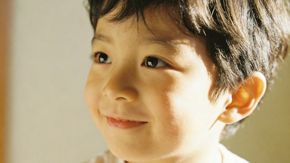 奔驰和宝马L3级别自动驾驶ODD使用环境场景对比